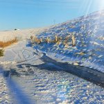 fh_winter_03 2